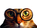 :Chat_lunettes_8K: