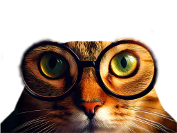 :Chat_lunettes_8K: