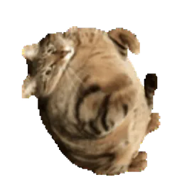 :ChatExplose: