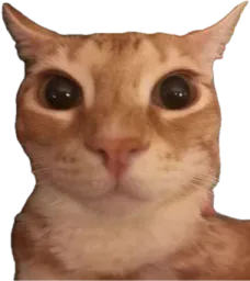 :chatouille:
