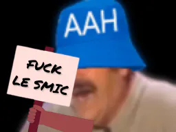 :Aah_fuck_le_smic: