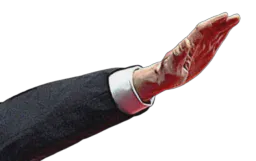 :ElonArm2: