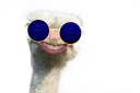 :Autru: