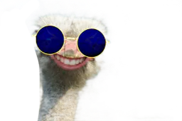 :Autru: