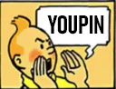 :tintin_youpin: