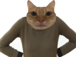 :chat_hein: