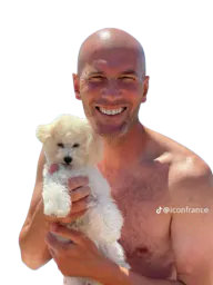 :Zidane_chien1: