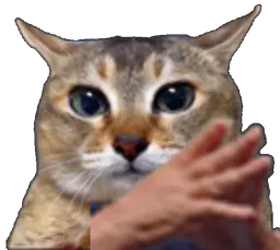 :chamain:
