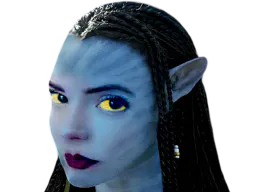 :AnyaNavi: