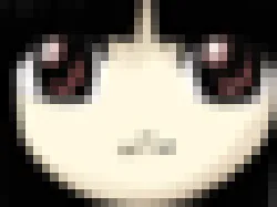:kaguyazoom2: