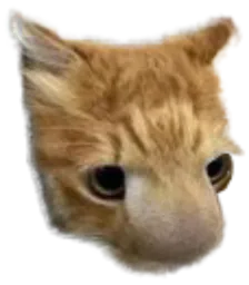 :Chatnez: