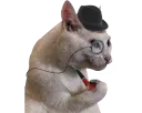 :chat_blanc_pipe:
