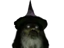 :fdv_champignon: