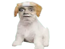 :Didier_Bourdon_Chien: