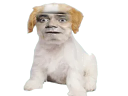 :Didier_Bourdon_Chien: