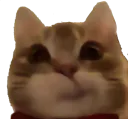 :Ahouaisouais: