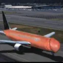 Avionaerection