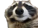:Ratonzoom: