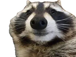 :Ratonzoom: