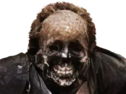 :zombie_zoom: