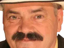 :Risitas_regarde: