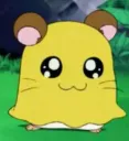 :Poupouille:
