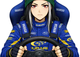 :Krist_DiRT_Rally_2: