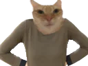 :chabasourdi2: