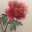 Photo de profil de Froid-