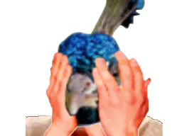 :Paon_honte2: