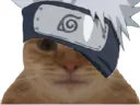:Kakashi_Chat:
