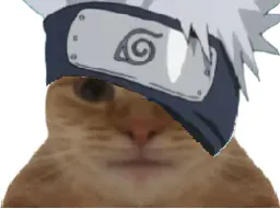 :Kakashi_Chat: