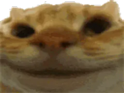 :chatoui1: