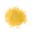 Photo de profil de Couscous