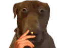 :Teddi-clope: