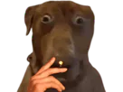 :Teddi-clope: