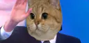 :sodium_salut: