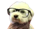 :caniche_intello: