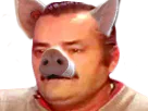 :risicochon:
