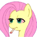 :mlp: