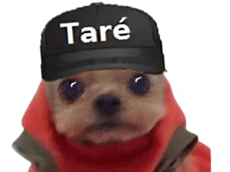 :Chien_Tare: