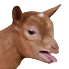 :chevremeh: