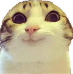 :Museau: