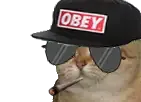 :Sodium_casquette: