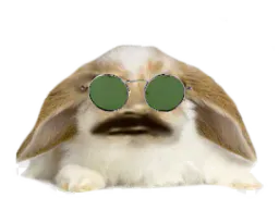 :Lapin_Belier_Lunettes_Vertes: