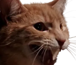 :Monsieur_Moustache:
