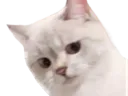 :chat45: