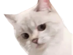 :chat45: