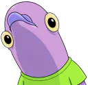 :Volutes_pigeon: