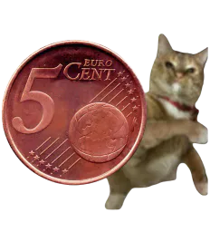 :Chat5ct: